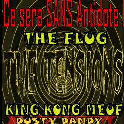 THE TENSIONS / THE FLUG / KING KONG MEUF / DUSTY DANDY à L'Antidote [Bordeaux]