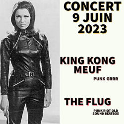 Rock'Eup : THE FLUG / KING KONG MEUF [Eup]